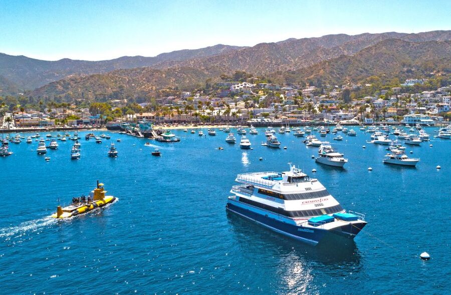 Newport Beach: Ferry Ticket to/from Catalina Island - Newport Beach to Avalon: What the crossing is like