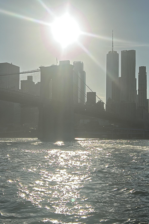 NYC: Brooklyn Bridge and DUMBO Tour with East River Ferry - How much walking and planning to expect
