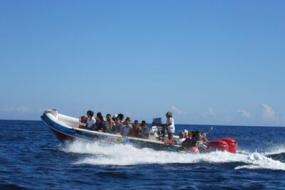 Okikoki Banis – Comino Blue Lagoon Speedboat Trip- Fast Ferry