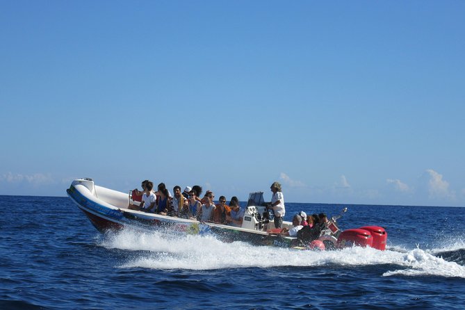 Okikoki Banis - Comino Blue Lagoon Speedboat Trip- Fast Ferry - Key Points Before You Book