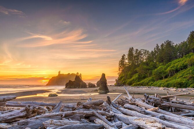 Olympic National Park Small Group Day Tour w/Scenic Ferry 2CanGo - Why This Tour Makes Sense From Seattle