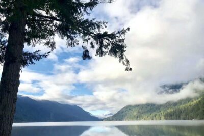 Olympic National Park Small Group Day Tour w/Scenic Ferry 2CanGo