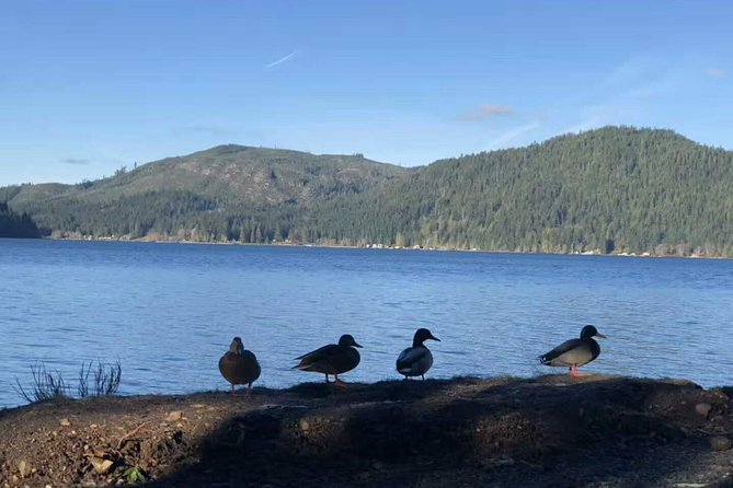 Olympic National Park Small Group Day Tour w/Scenic Ferry 2CanGo - Value, Timing, and the Long Ride Home