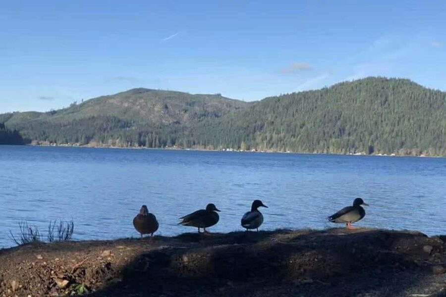 Olympic National Park Small Group Day Tour w/ State Ferries - Key points to know before booking