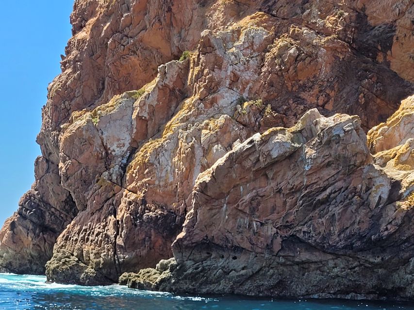 Peniche: Berlengas Island Round-Trip Ferry with Island Stop - Is the $28 Price Good Value?