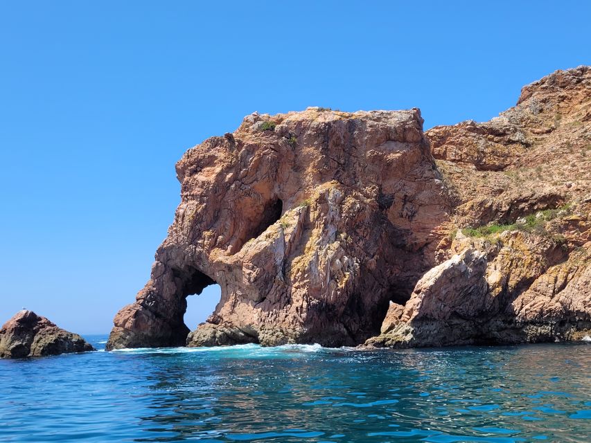 Peniche: Berlengas Island Round-Trip Ferry with Island Stop - Should You Book the Berlengas Ferry?