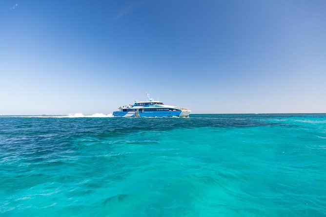 Perth to Rottnest Island Roundtrip Ferry Ticket - A full day from Perth to Wadjemup