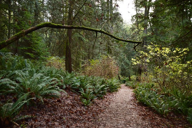 Photography, Hiking & Ferry to Bowen Island - What $133.61 buys you