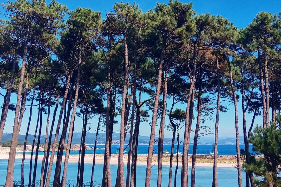 Portonovo: Ferry to Cies Islands & Rodas Beach - Timing tips for a better day