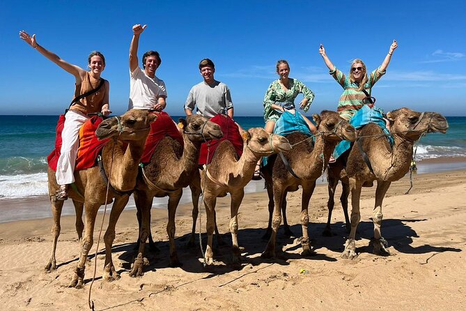 Private Tangier Tour from Ferry or Cruise Ship Including Lunch - Achakkar Beach and the optional camel ride