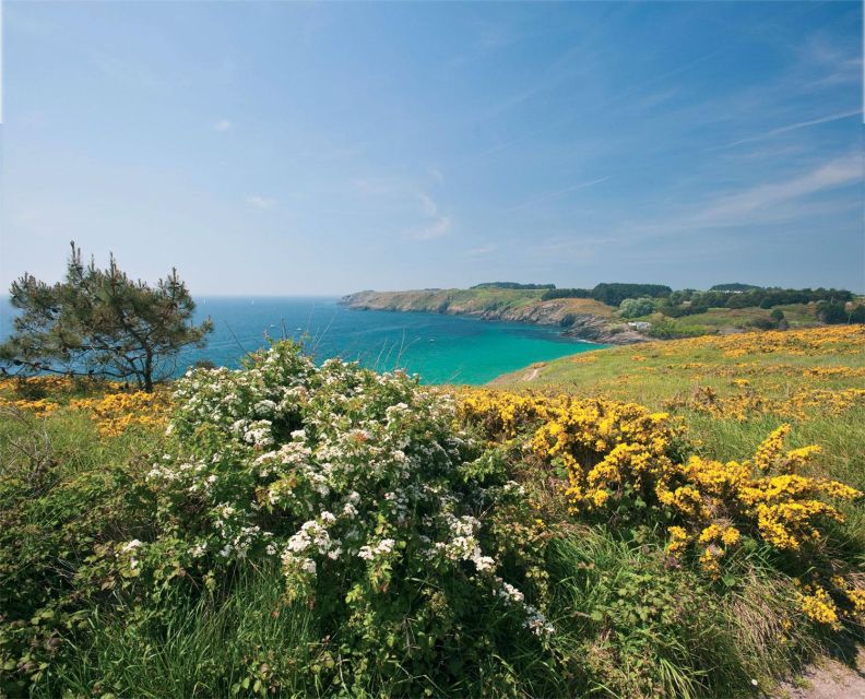 Quiberon: Ferry tickets from/to Belle-Île-en-Mer, Le Palais - Key points before you book