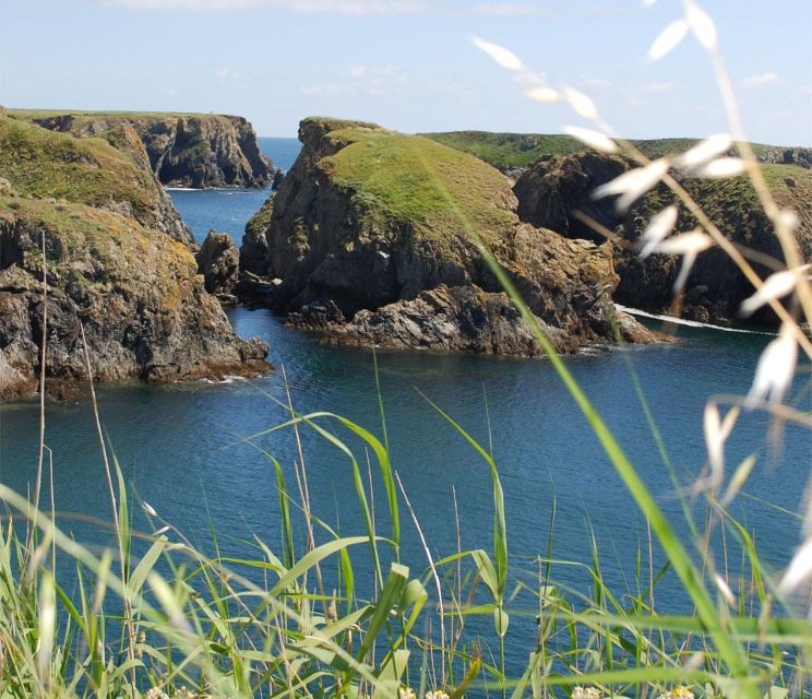 Quiberon: Ferry tickets from/to Belle-Île-en-Mer, Le Palais - Traveling with children, luggage, and pets