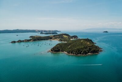 Rotoroa Island Ferry – from Auckland