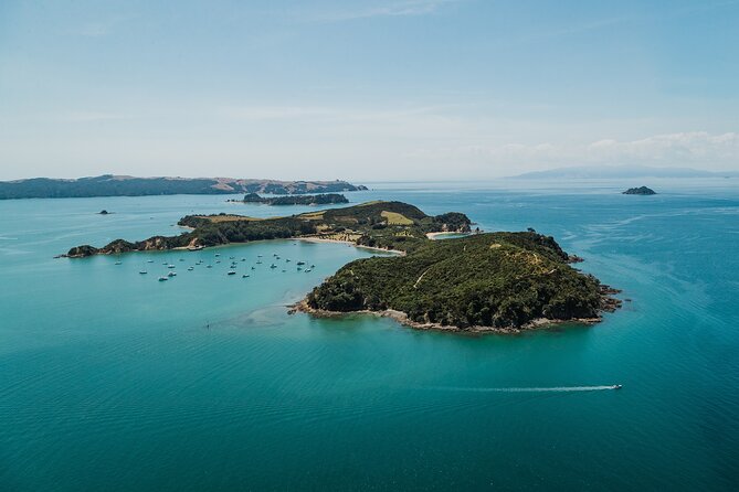 Rotoroa Island Ferry - from Auckland - Walking tracks, birds, and open space