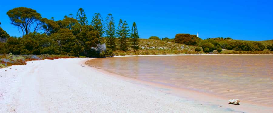 Rottnest Grand Island Package with Ferry, Tour & Light Lunch - The day at a glance