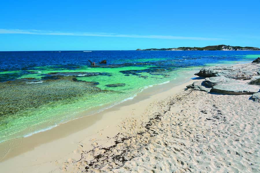Rottnest Grand Island Package with Ferry, Tour & Light Lunch - The coach circuit around Rottnest