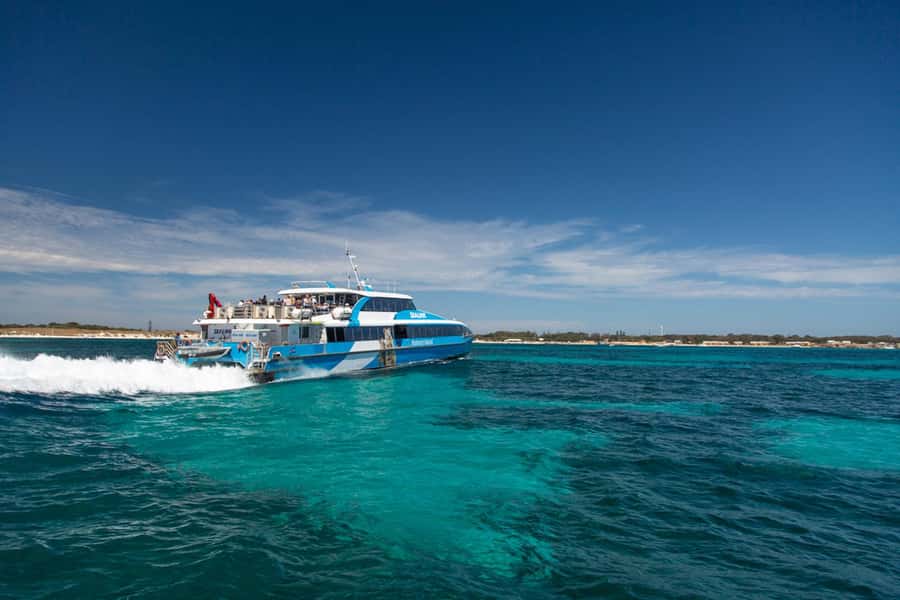 Rottnest Grand Island Package with Ferry, Tour & Light Lunch - What the $138 price really covers