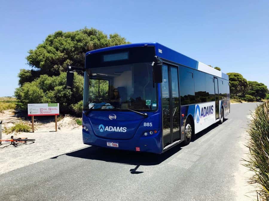 Rottnest Grand Island Package with Ferry, Tour & Light Lunch - Choosing Perth or Fremantle for the ferry