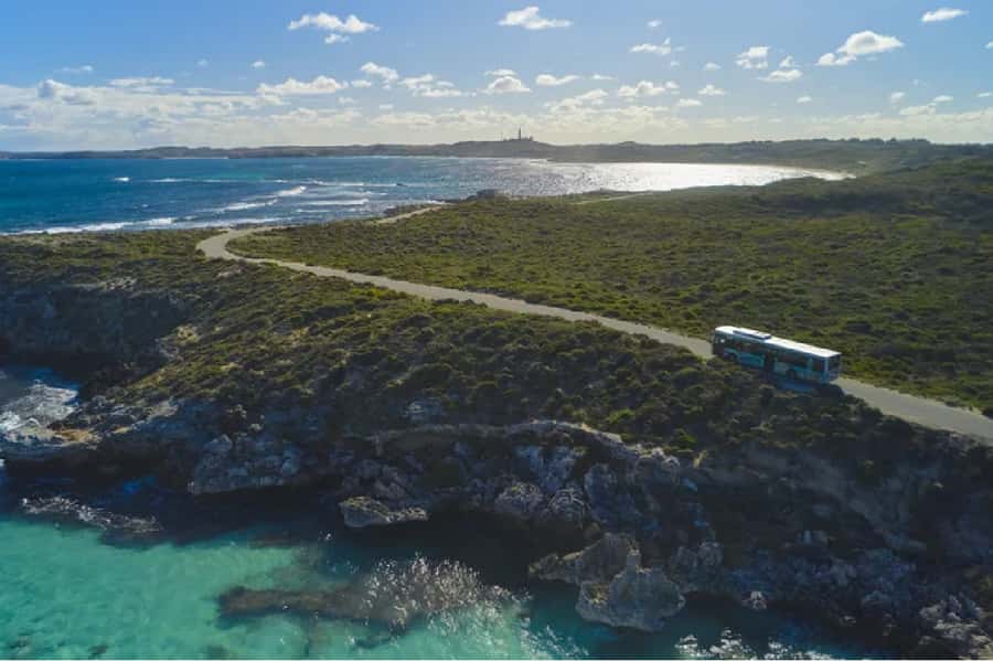 Rottnest Island Ferry and 1.75 Hr Bus Tour - Key points to know before booking