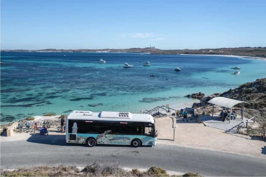 Rottnest Island Ferry and 1.75 Hr Bus Tour - Seeing Rottnest from an air-conditioned bus