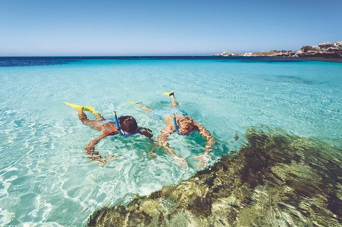 Rottnest Island Round-Trip Ferry from Perth - The Ferry Choice: Perth or Fremantle