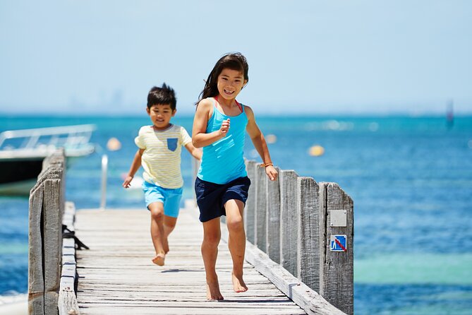 Rottnest Island Roundtrip Fast Ferry from Hillarys Boat Harbour - Why The Hillarys Ferry Works So Well