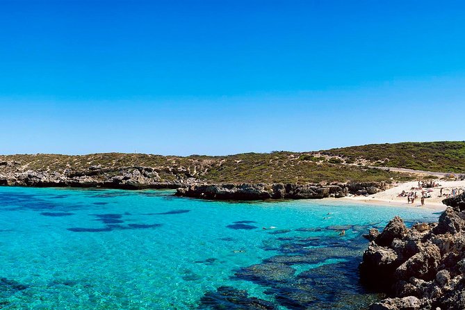 Rottnest Island Roundtrip Fast Ferry from Hillarys Boat Harbour - How Much Value Do You Get For $65.99?