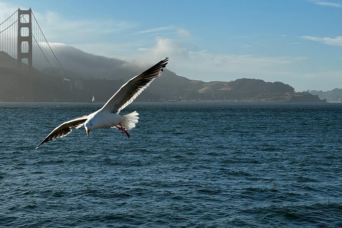 San Francisco Alcatraz, Ferry and 2 Day Hop On Hop Off Bus Tour - Waterfront stops from the Embarcadero to Pier 39