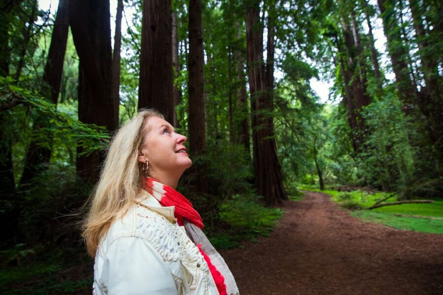 San Francisco: Morning Muir Woods & Sausalito Tour w/ Ferry - Guide quality and the feel of the group