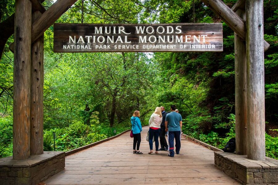 San Francisco: Morning Muir Woods & Sausalito Tour w/ Ferry - Who should book this tour?