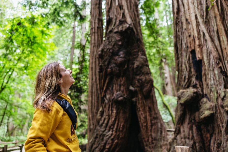 San Francisco: Muir Woods & Sausalito Tour with Ferry Option - Key points at a glance
