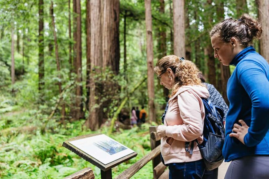 San Francisco: Muir Woods & Sausalito Tour with Ferry Option - Crossing the Golden Gate Bridge