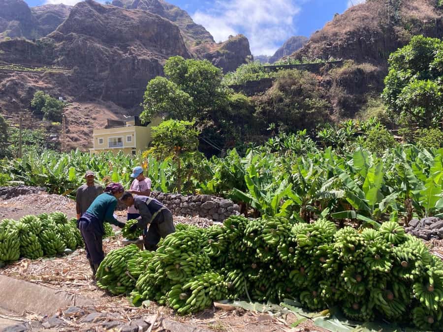 Santo Antão Highlights: Day Trip by Car with Ferry from SV - Why Santo Antão is worth the early alarm