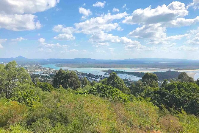 Secrets of Noosa Tour with Oceanview Lunch, Nature & Noosa River Ferry - Laguna Lookout puts Noosa into one wide view