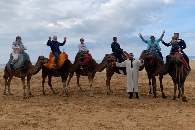 Tangier Private Full Day Tour Including Ferry Ticket & Camel Ride - The Kasbah, Dar el Makhzen, and the city below