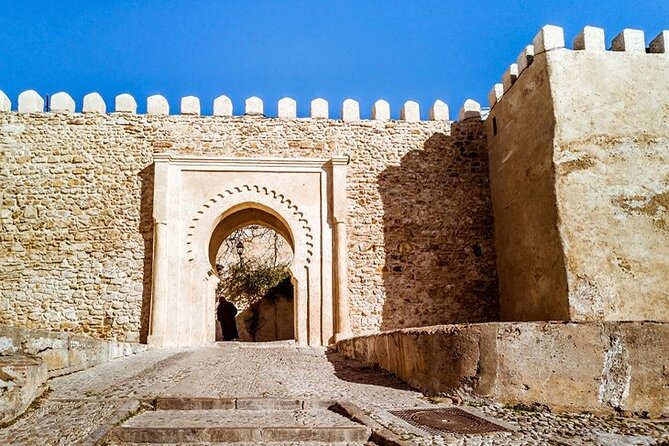 Tangier Private Tour from Tarifa with Express Ferry - Achakkar Beach and the included camel ride