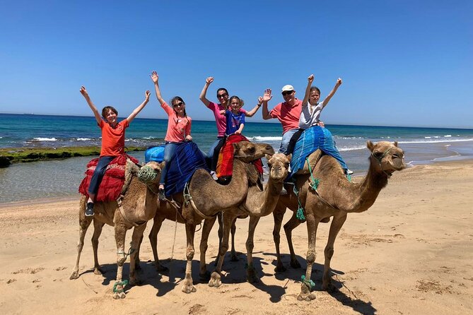 Tangier Private Tour from Tarifa with Express Ferry - Perdicaris Park and Tangier’s political past