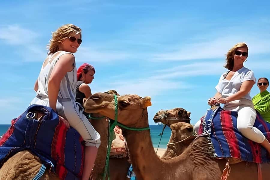 Tarifa/Algeciras: Tangier Private Day Tour with Ferry Ticket - Grand Socco, Petit Socco, and the Medina