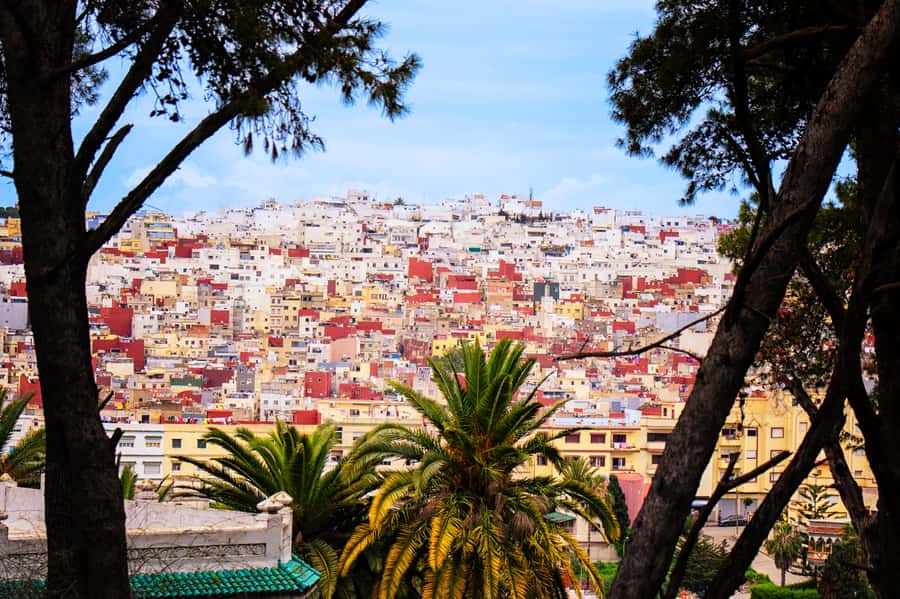 Tarifa: Day trip to Tangier by ferry with exclusive VIP service - Moroccan lunch in the Iberia area