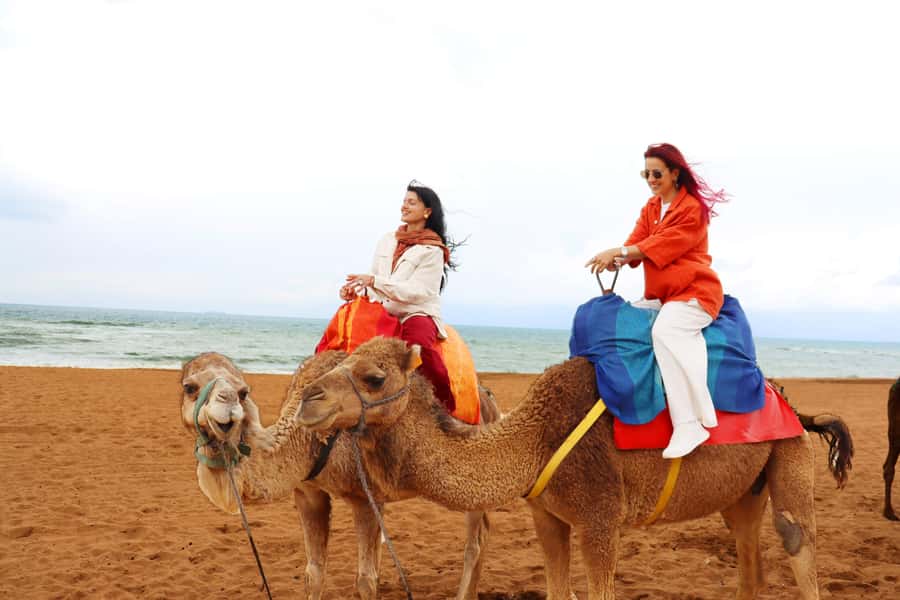 Tarifa: Day trip to Tangier by ferry with lunch and tour guide - The camel ride and Tangier’s wider sights