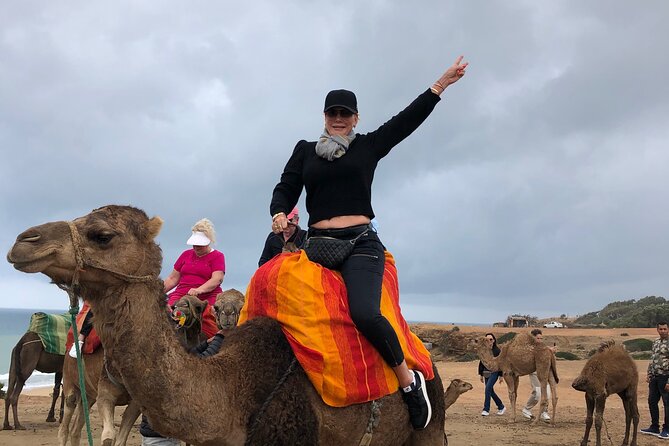 Tarifa to Tangier Tour with ferry ticket , lunch & camel ride - Key points to know before booking