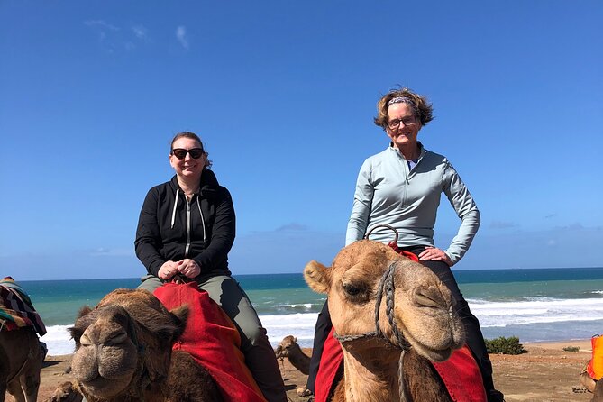 Tarifa to Tangier Tour with ferry ticket , lunch & camel ride - The ferry crossing from Tarifa