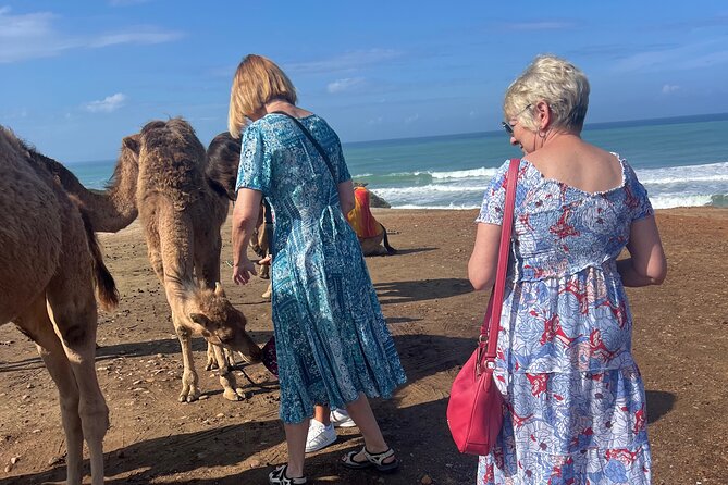 Tarifa to Tangier Tour with ferry ticket , lunch & camel ride - What the $170.31 price covers