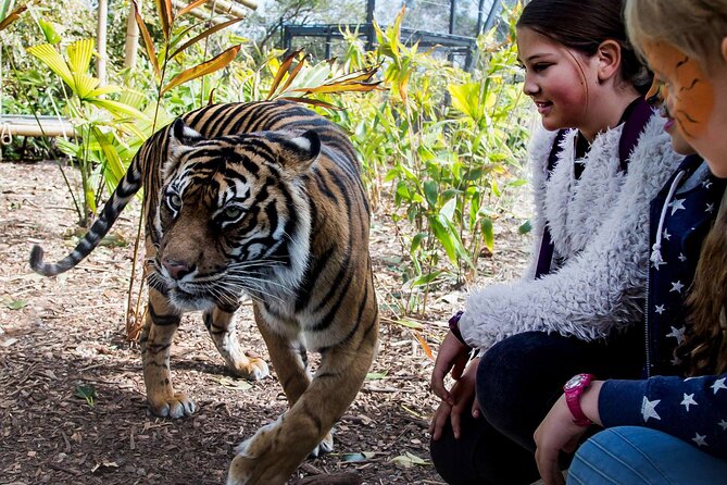 Taronga Zoo + Ferry Return Ticket - Key points to know before you go