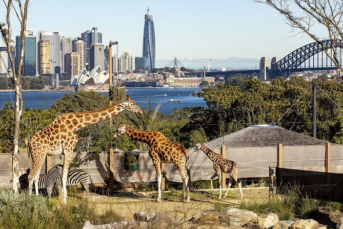 Taronga Zoo + Ferry Return Ticket - Circular Quay gives you the classic crossing