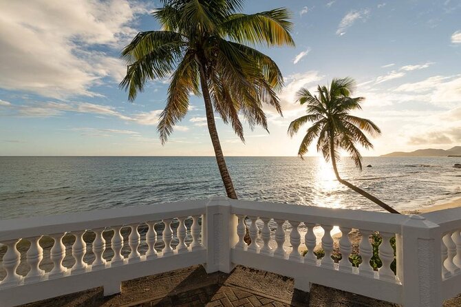 Vieques Bio Bay Tour and Beach Day Trip from San Juan by Ferry - Sun Bay or Esperanza Beach for a short coastal break