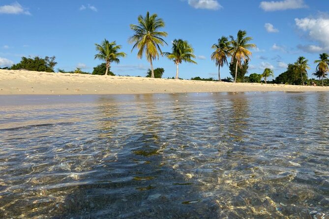 Vieques Bio Bay Tour and Beach Day Trip from San Juan by Ferry - Waiting at Ceiba and crossing to Vieques