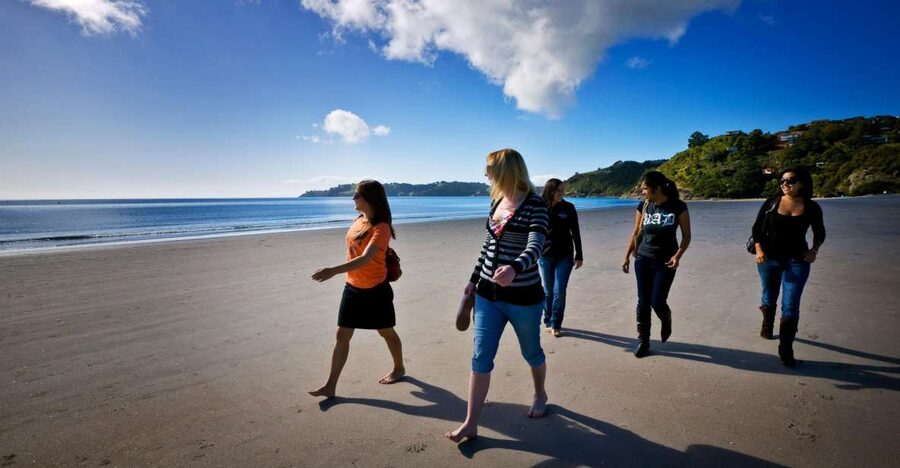 Waiheke Island: Ferry & Hop-On Hop-Off Explorer Bus Tickets - Who will enjoy this Waiheke day most?