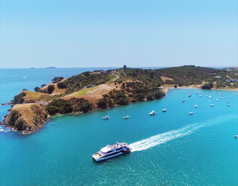Waiheke Island: Ferry & Hop-On Hop-Off Explorer Bus Tickets - Is the $59 price good value?